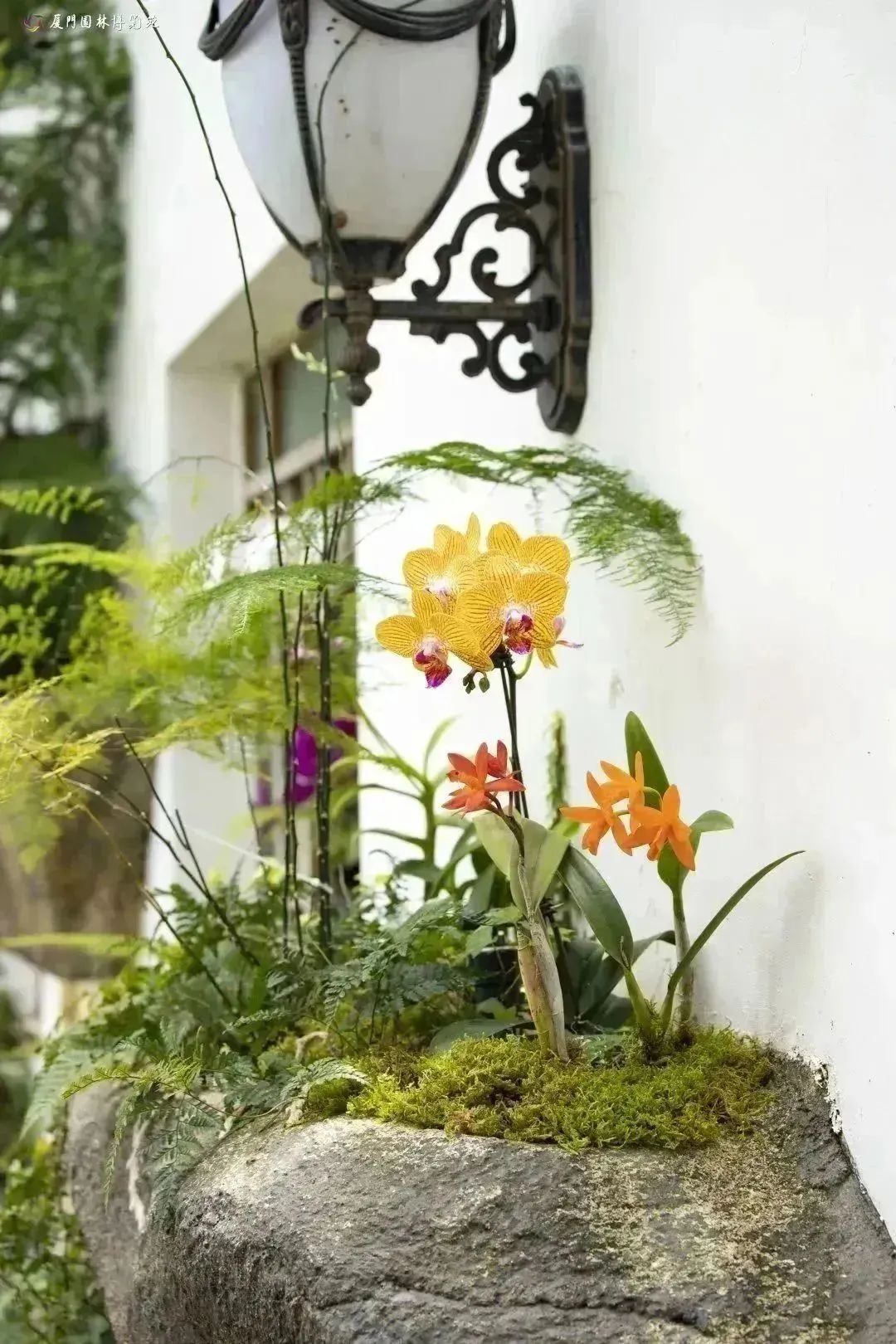 厦门夏天出去可以这么玩,厦门春季休闲生活之旅