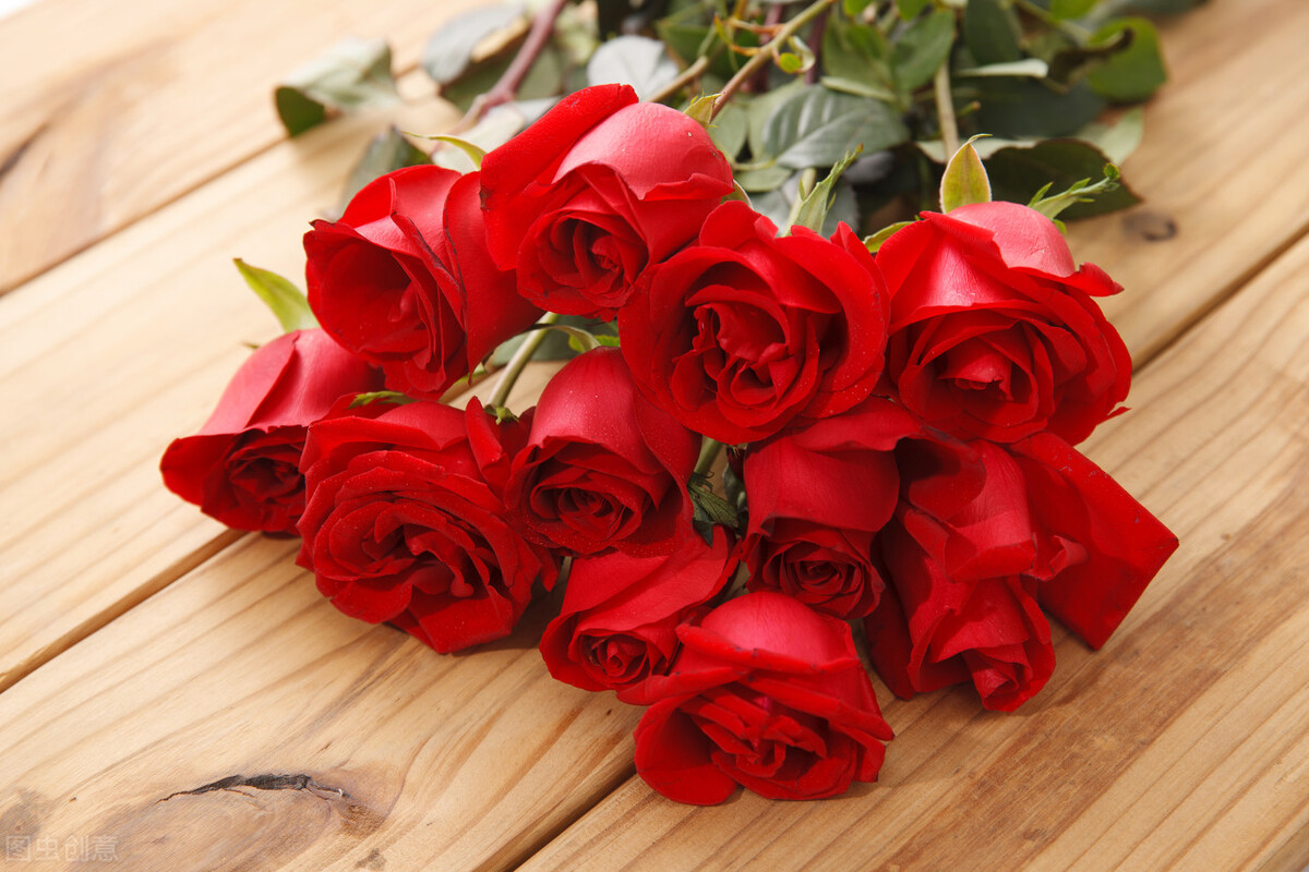 各种玫瑰花语,粉玫瑰和白玫瑰花语