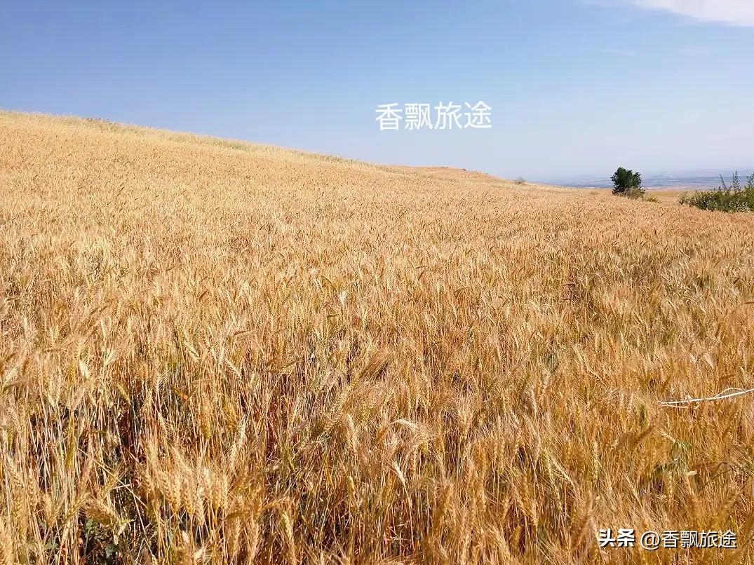 新疆伊犁州江布拉克,新疆奇台江布拉克