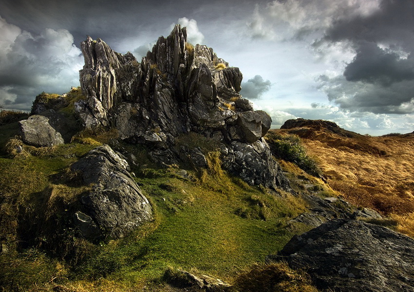 春色已随莺度岭，秋光空映月侵闺