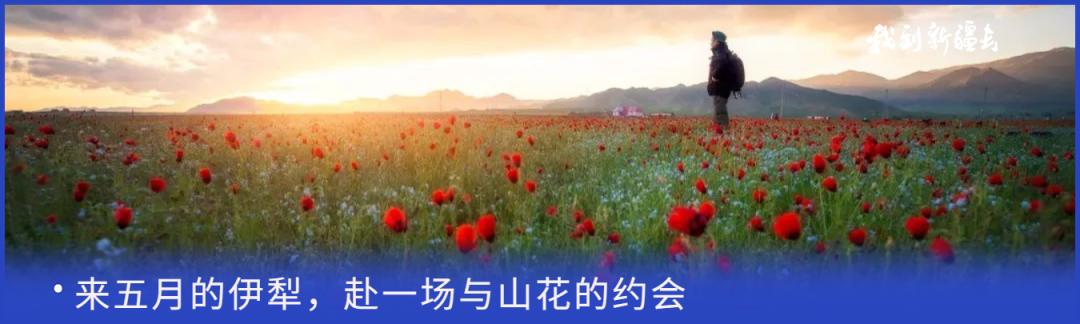 入疆旅游攻略,环疆旅游攻略大全