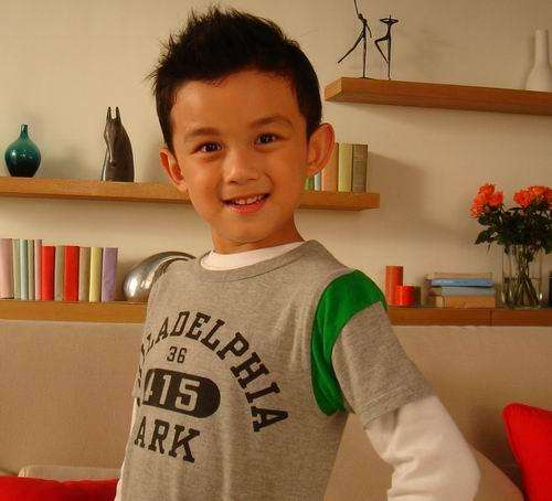 说出15个川渝地区的男明星,巴蜀美男子