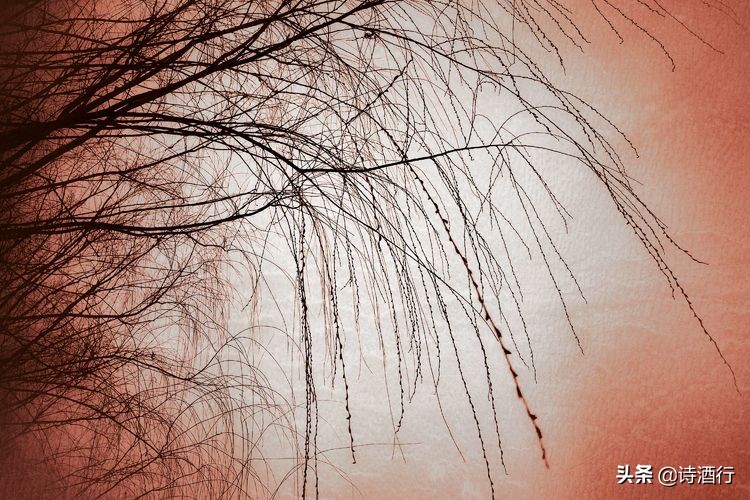 “昔人已乘黄鹤去”，继忠已经离开我们整整一年了