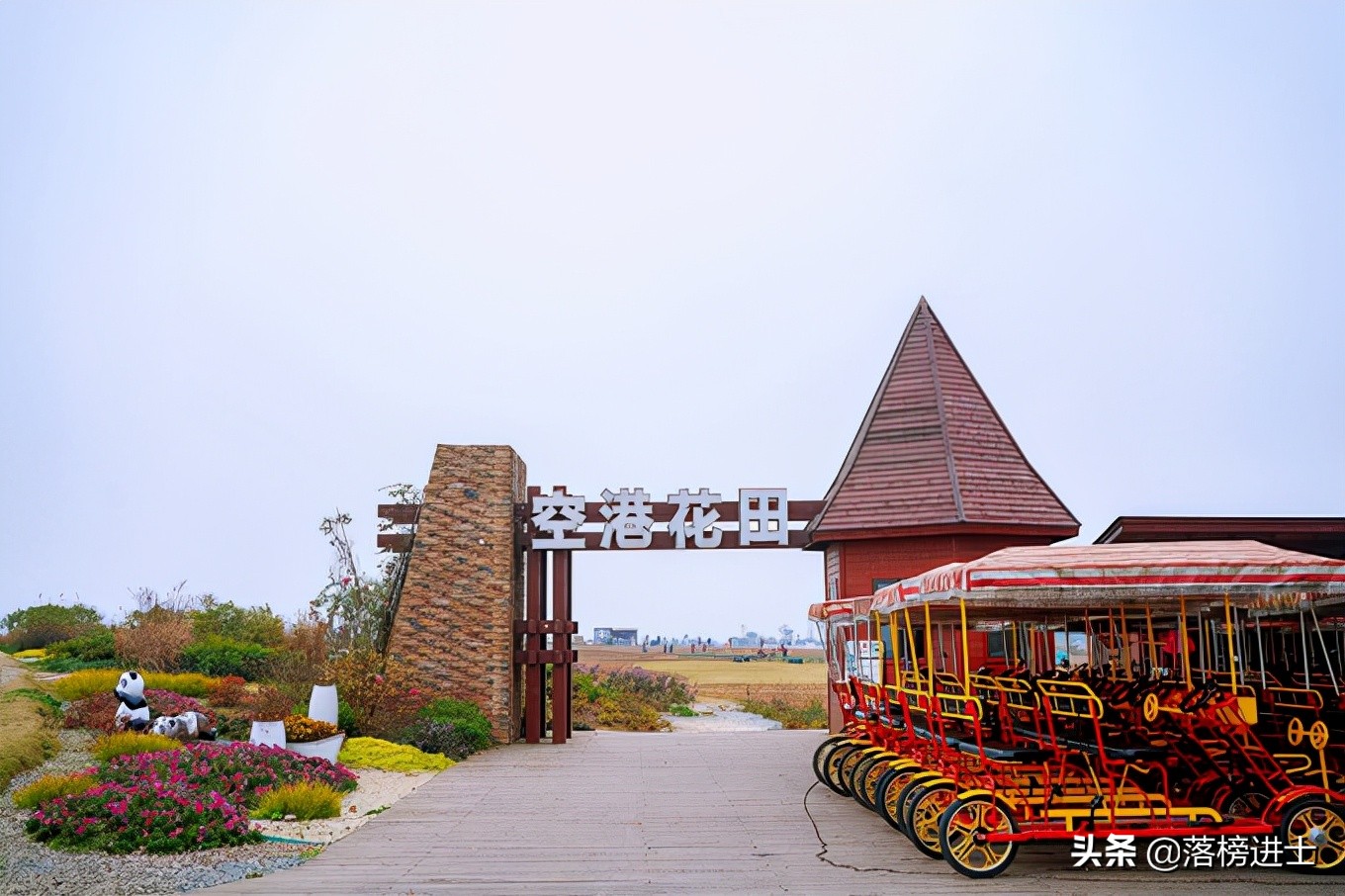成都双流空港花田看花的时节,成都双流粉黛花海