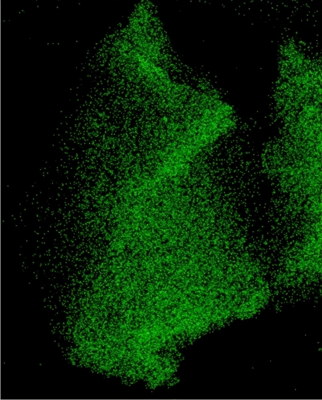 显微镜下的化学,显微镜下的世界奇妙图
