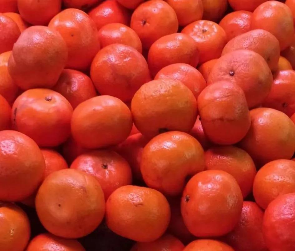 小心身边的人暗藏危机,小心身边的控制型人格