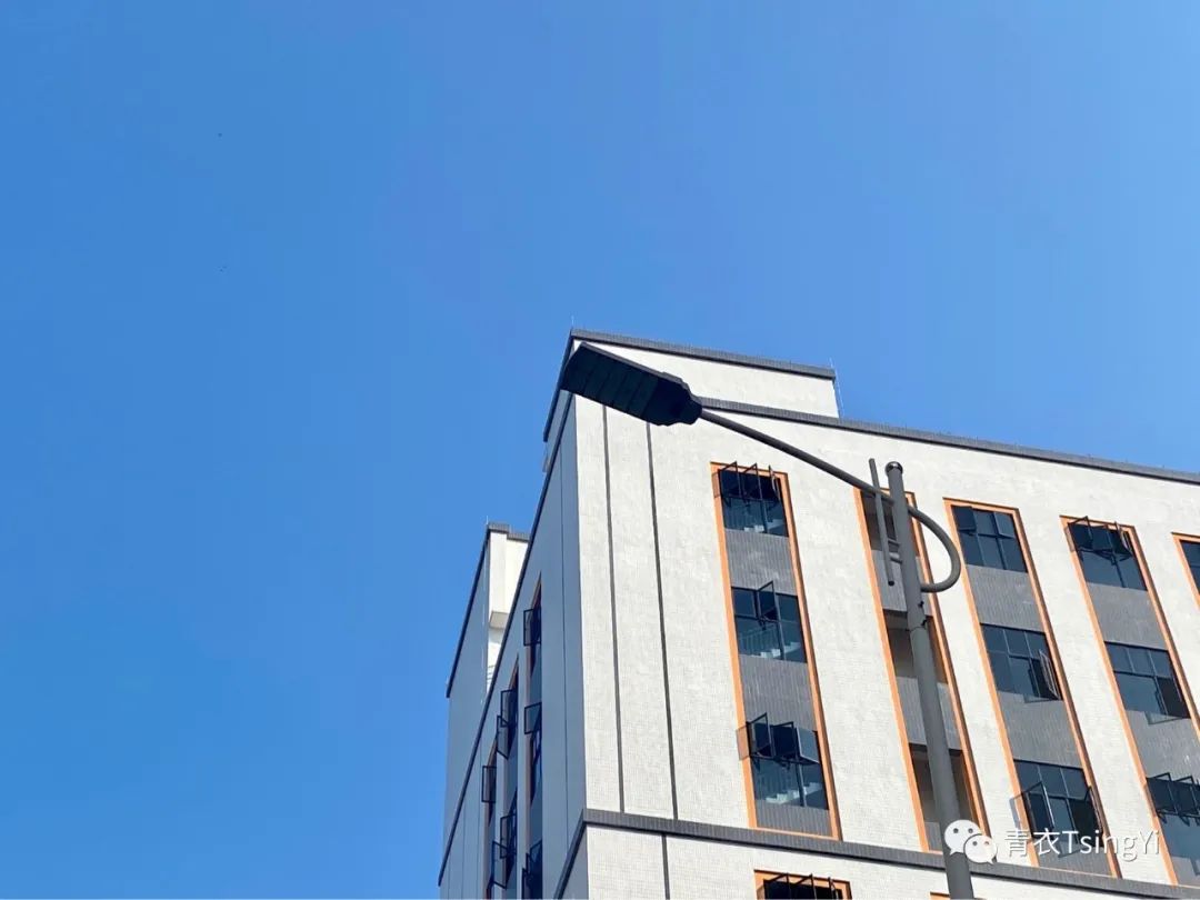 谁能逼疯狮子座,怎么可以把狮子座逼得分手