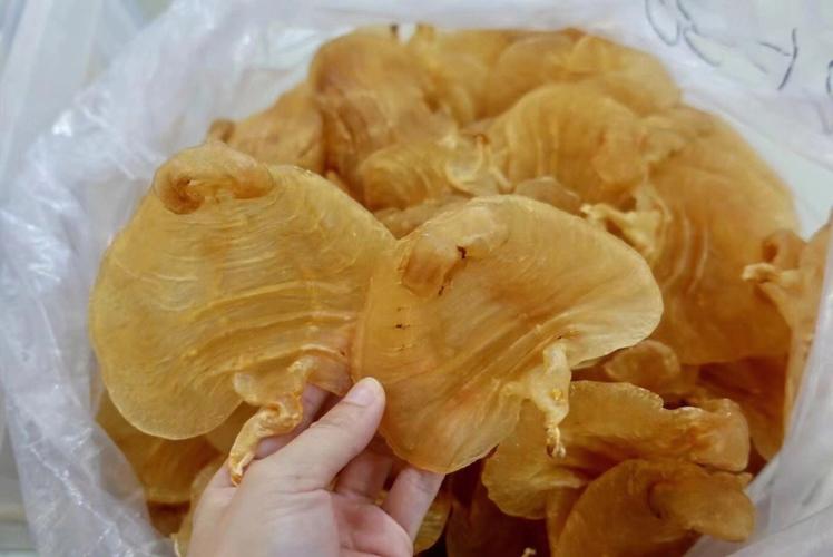 保健品骗术大揭秘不要再被坑了,三种保健品骗人