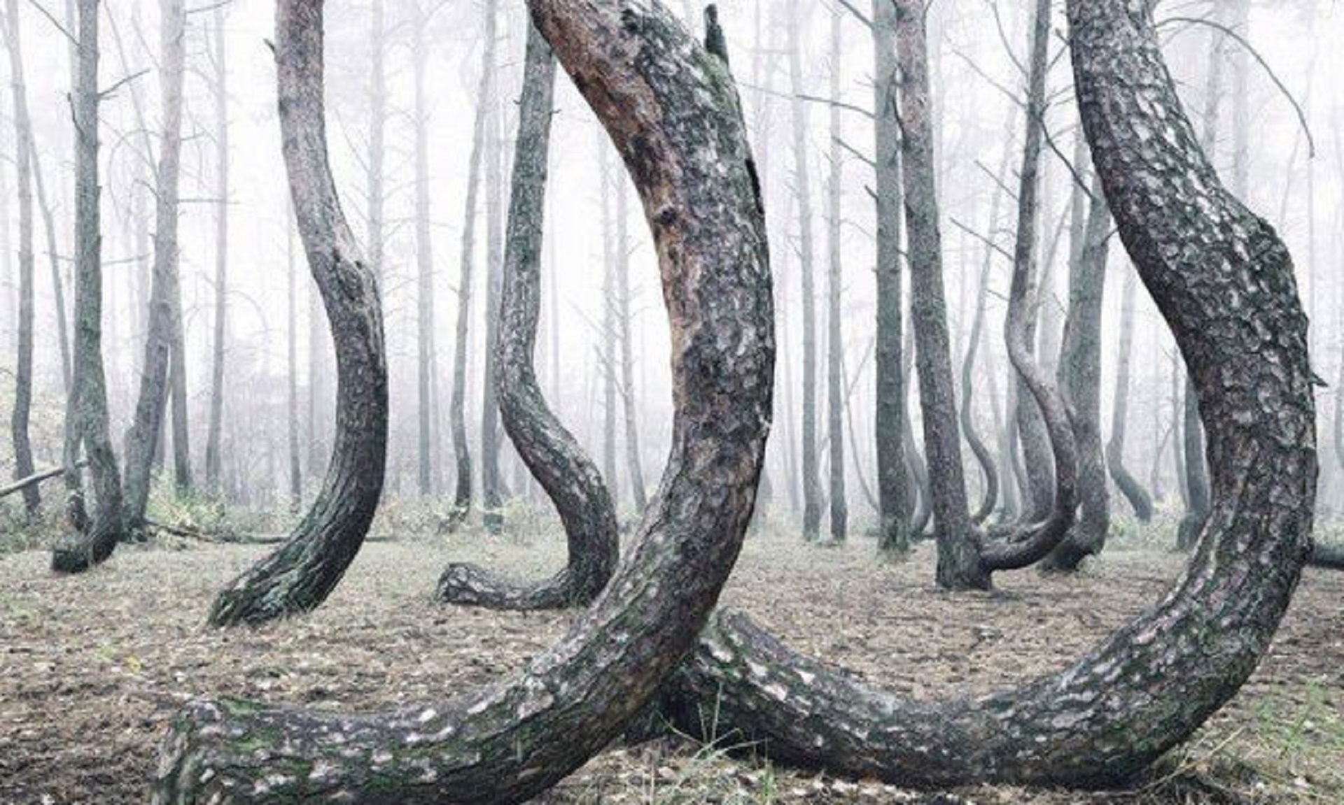 震撼的世界奇观,世界真实景观奇迹