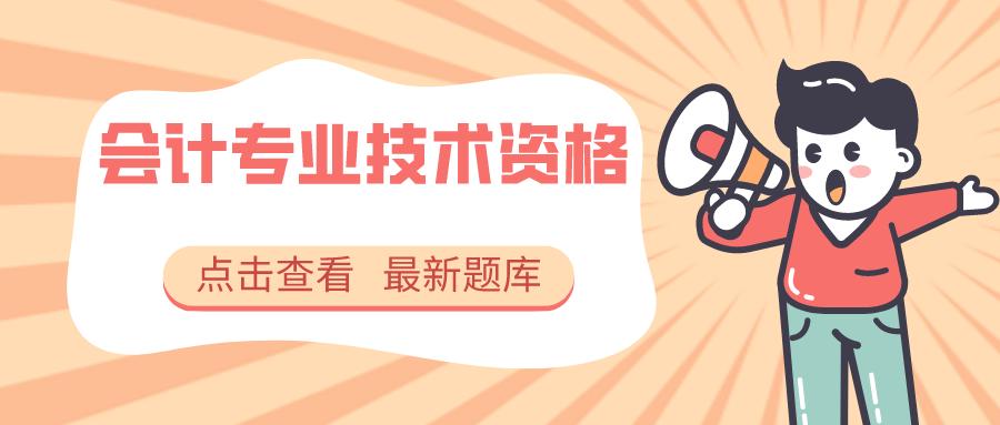 2023年会计师实务考试题,2023会计专业技术资格考试