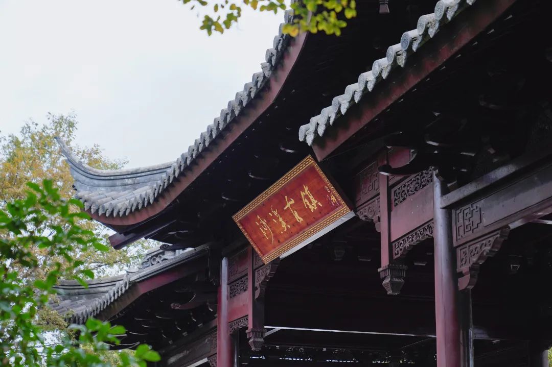 来过大理沙溪古镇的明星,明星去过中山沙溪