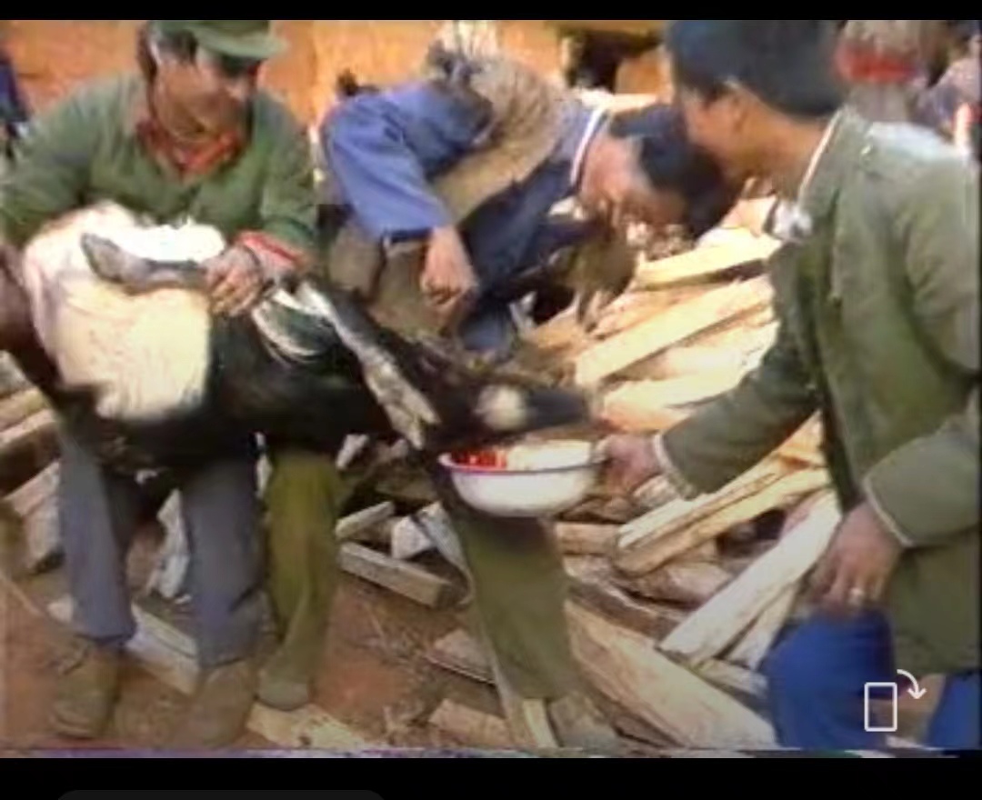 德昌傈僳族的风俗,德昌傈僳族之服饰文化