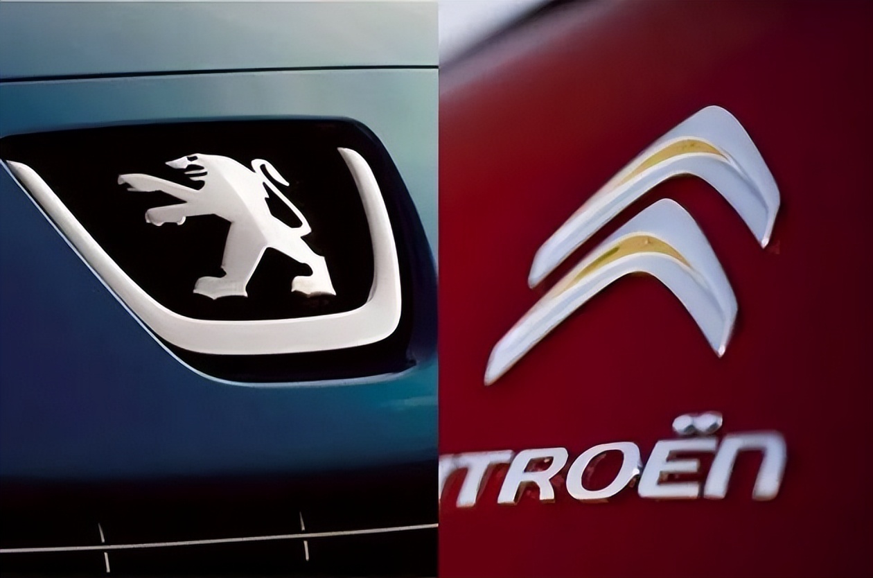 神龙的“阳谋”：长期主义者的品牌建设逻辑