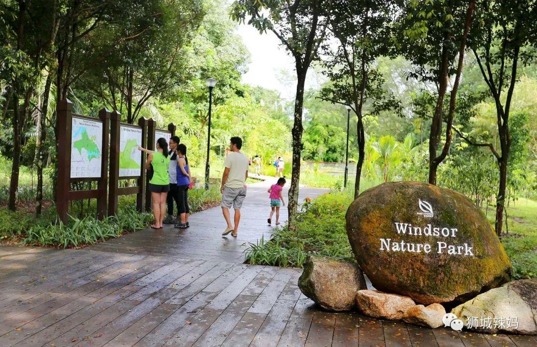 新加坡遛娃免费景点推荐一下,新加坡周末遛娃