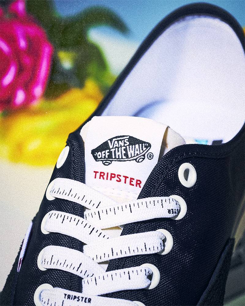 tripster,vanscomfycush和普通版哪款好