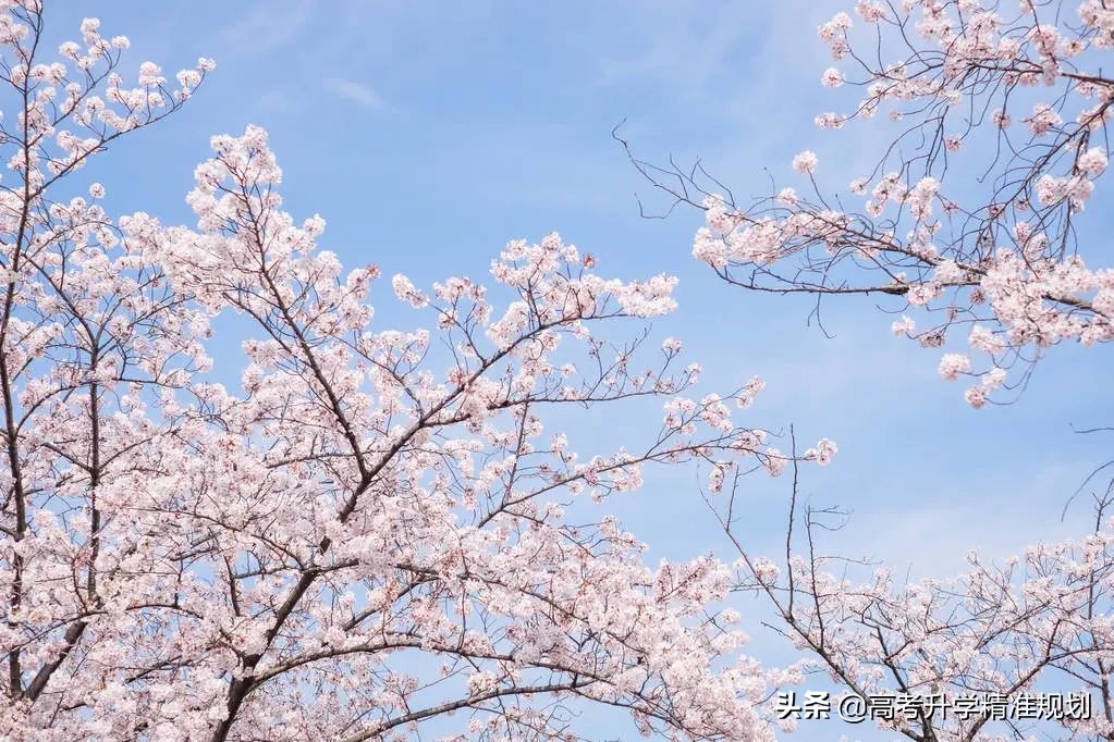 中国宝藏城市在哪里,中国最适合读大学的10座城市
