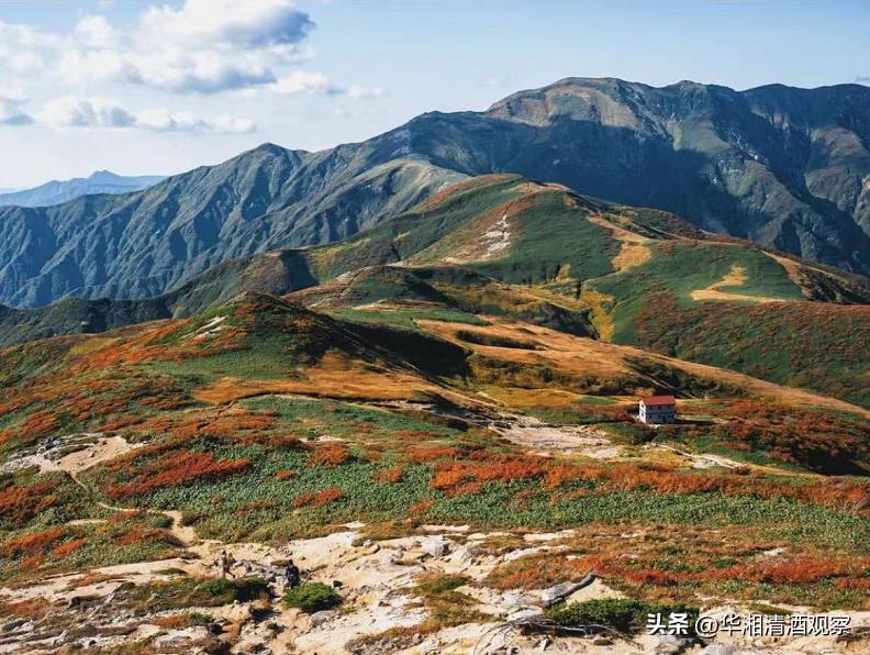 真正的山形地酒——出羽燦燦的诞生纪念
