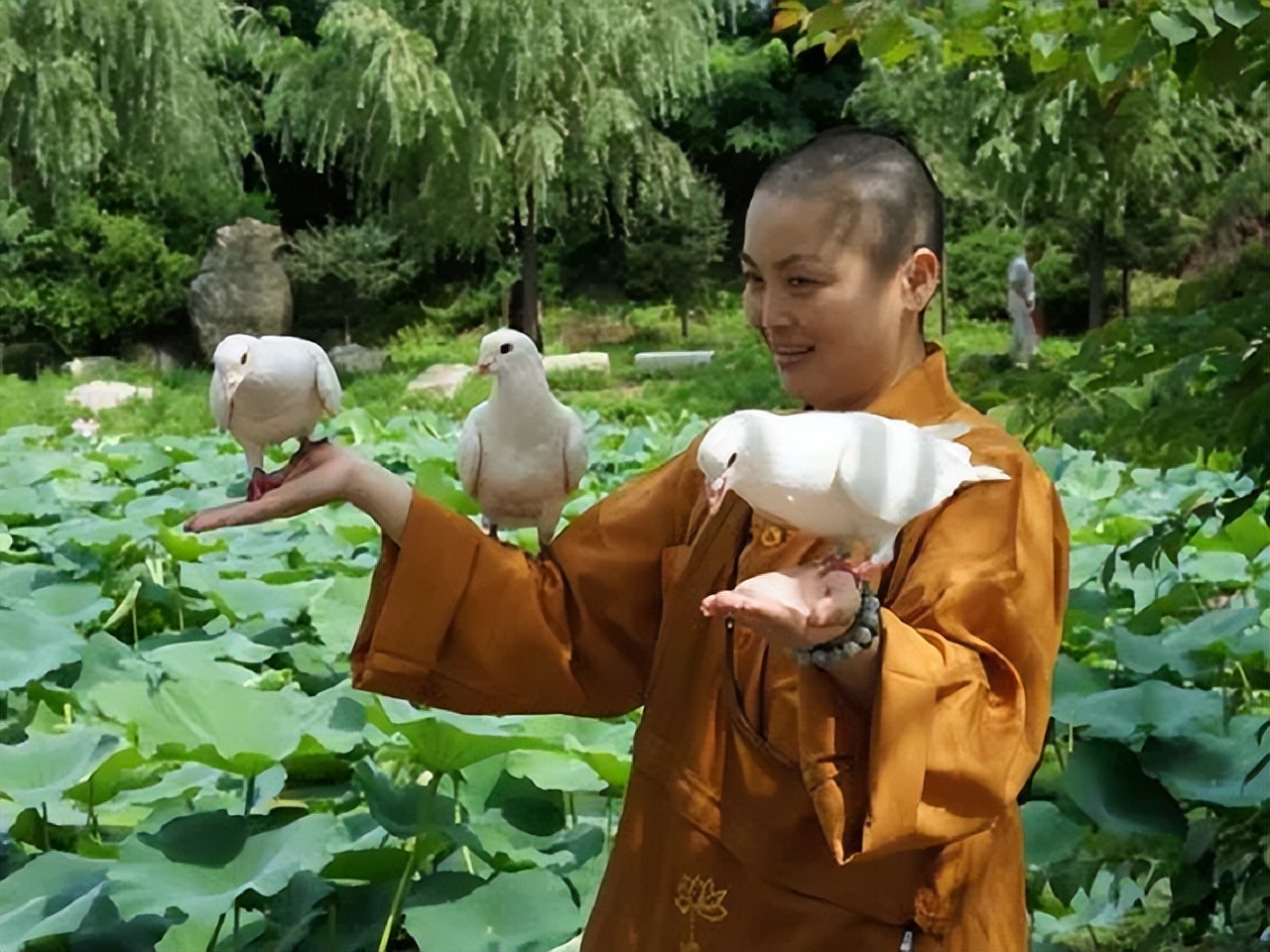 山东女孩才貌双全，一本大学毕业，为何选择出家当尼姑？