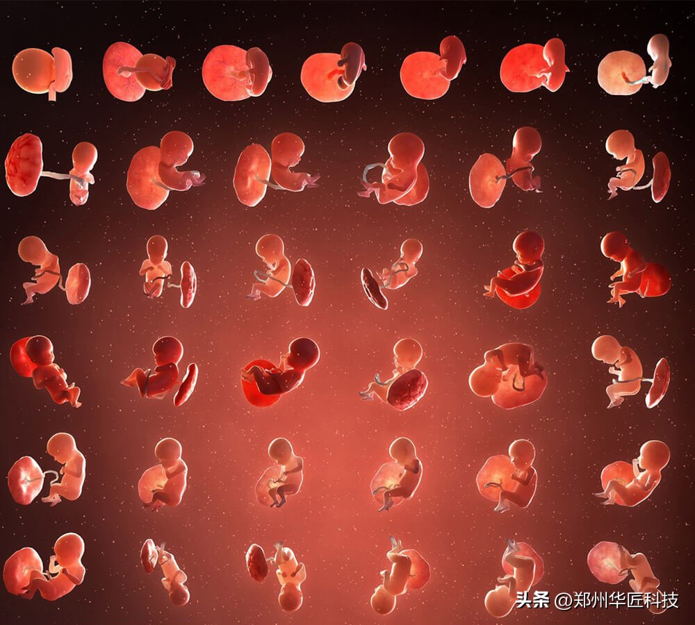 简单又好玩的实验教学,3d模拟实验教学视频