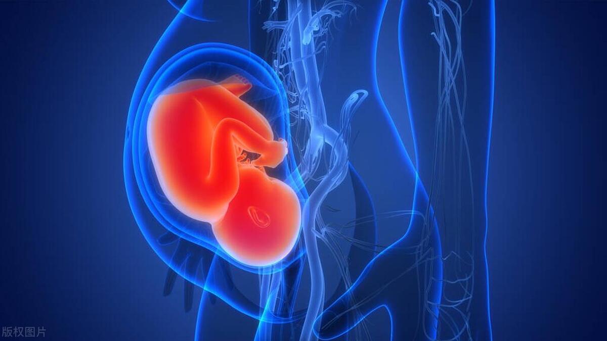 女性月经期间可以夫妻生活吗？月经周期对女性有影响？一文说清