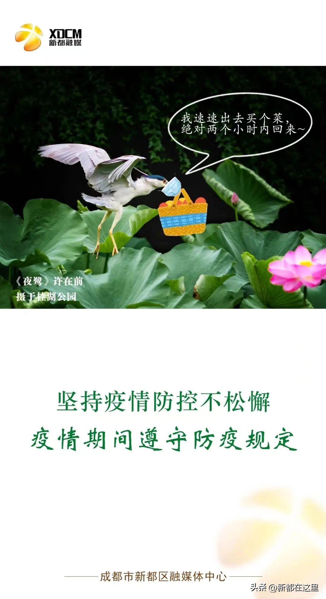 关于调整疫情风险区域的通告范文,成都市新都区疫情最新政策