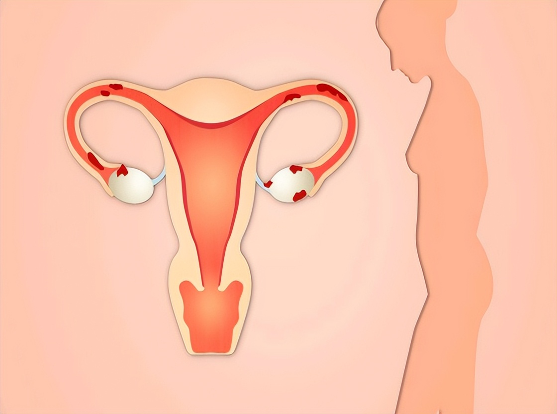 女性要绝经了身体不舒服吃什么,女人绝经以后什么都不想了