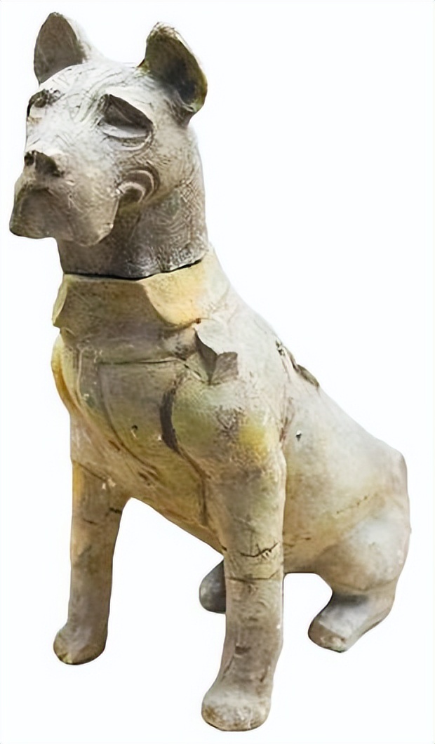 中华田园犬的血统是狗中最高贵的,中华田园犬五大名狗品种