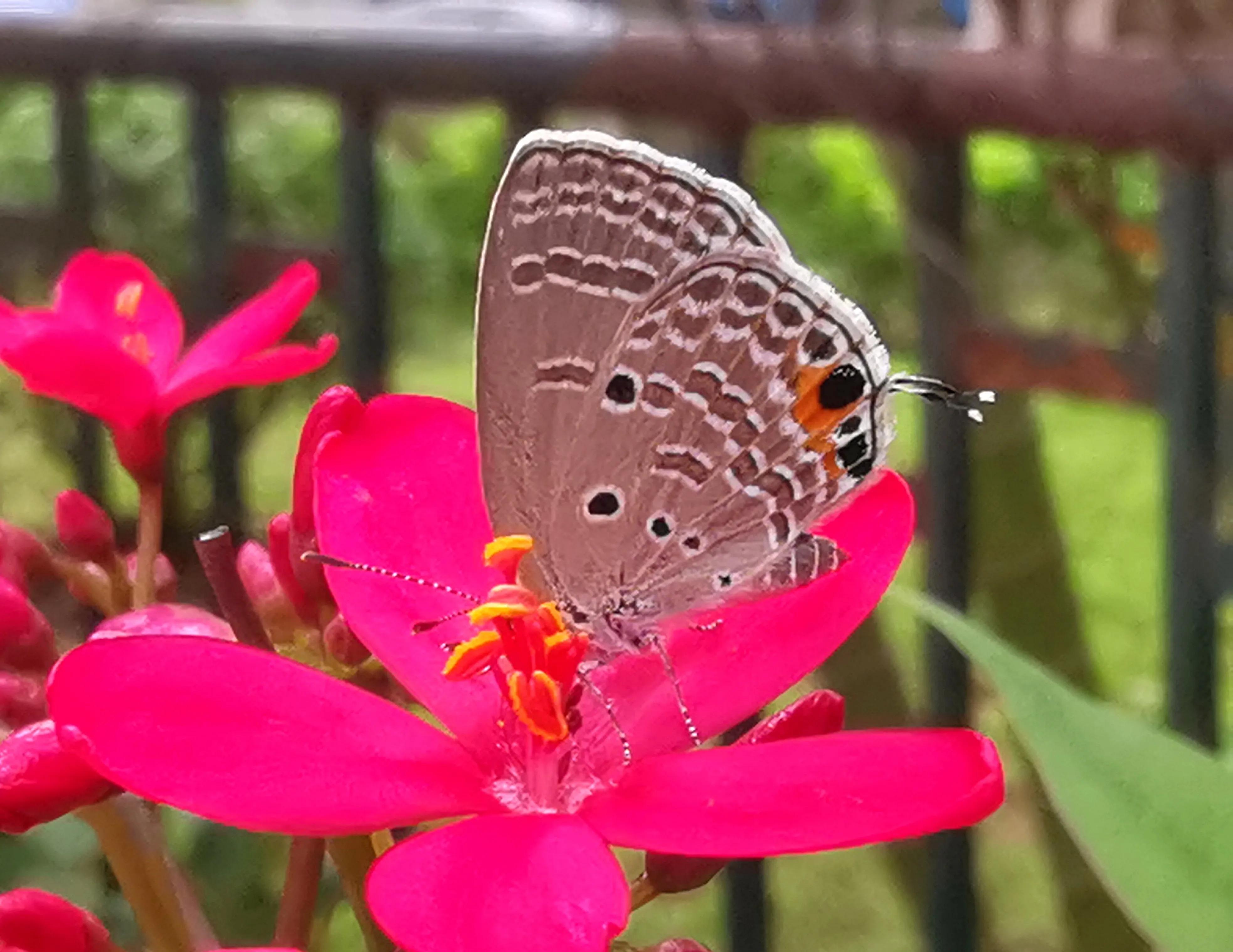 我做自媒体一路走来的心路历程,自媒体公众号运营的发展趋势