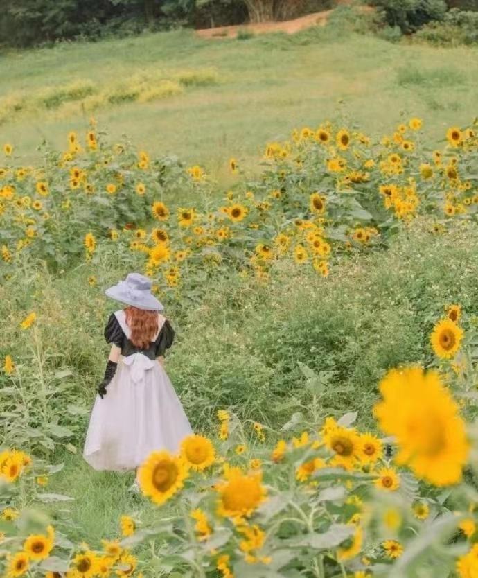 静而不争的气质,余生做个静而不争的女人