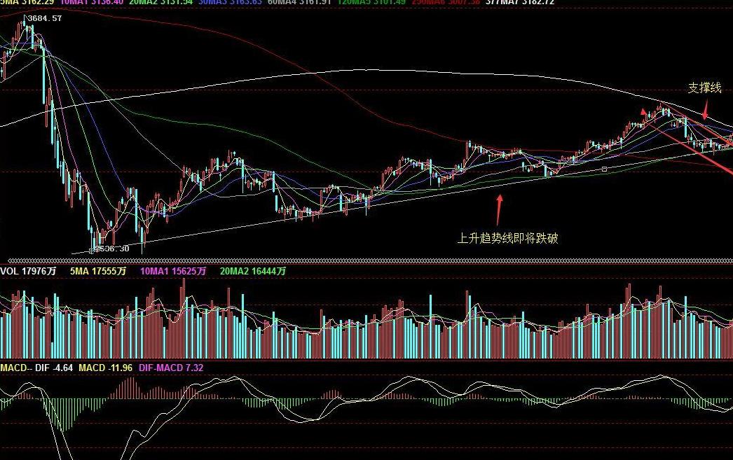 浙江天马轴承集团总部图片,天马科技集团现状