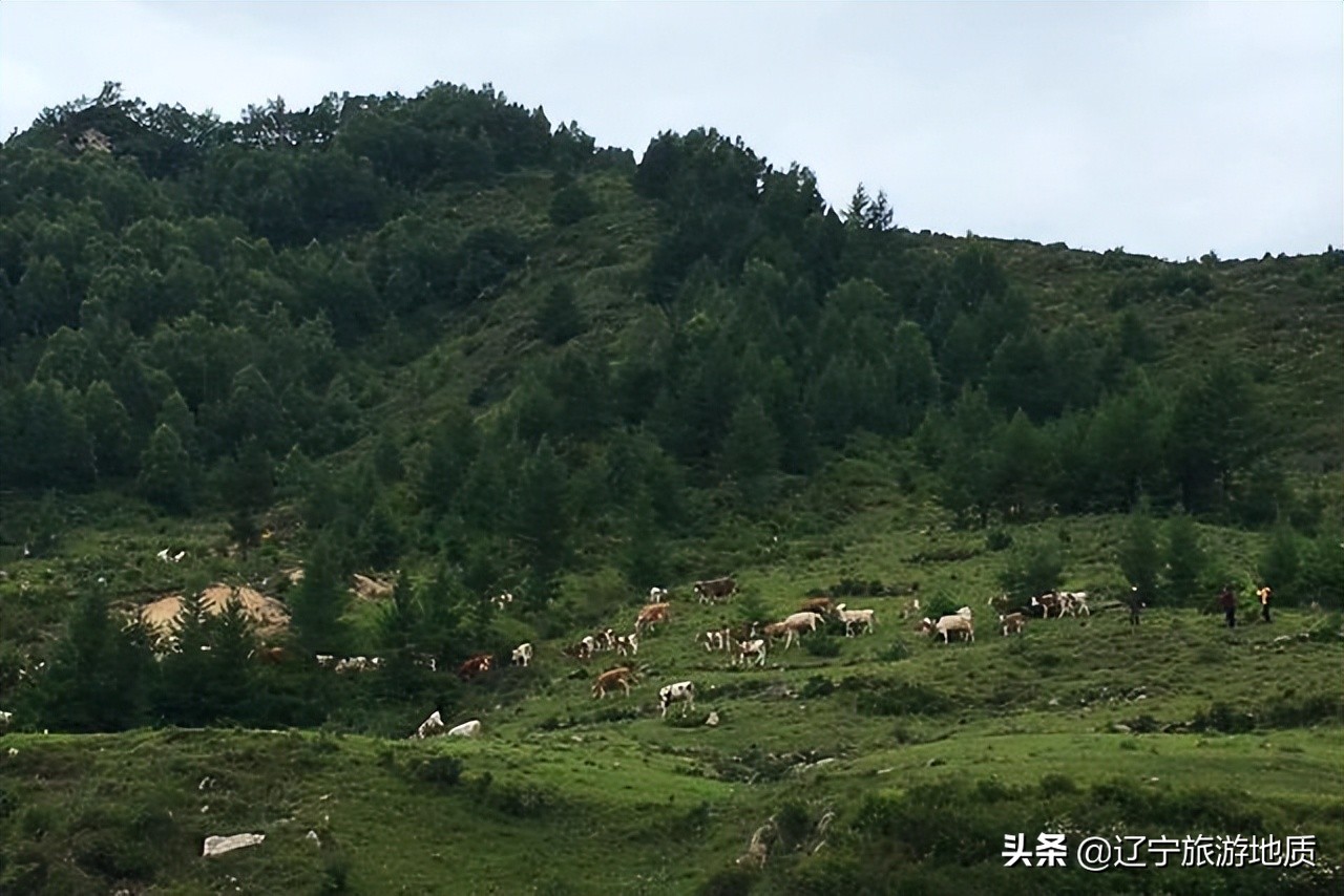 旅游山西古村落,山西新打造的古村空无游客