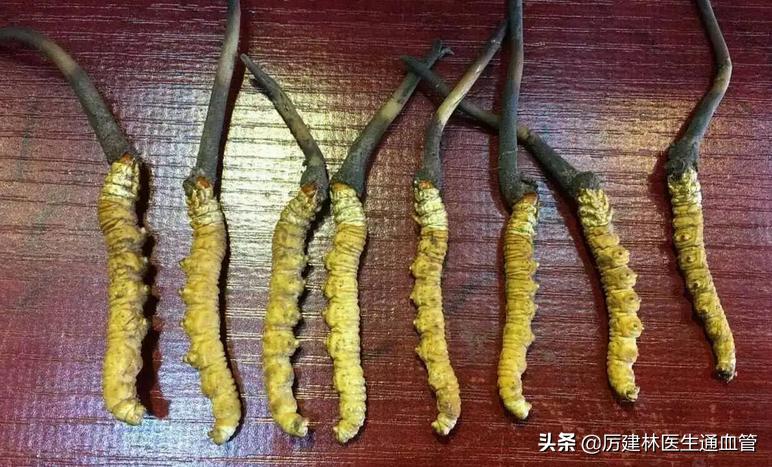 被吹上天的三种保健食品,十大被吹上天的保健食品