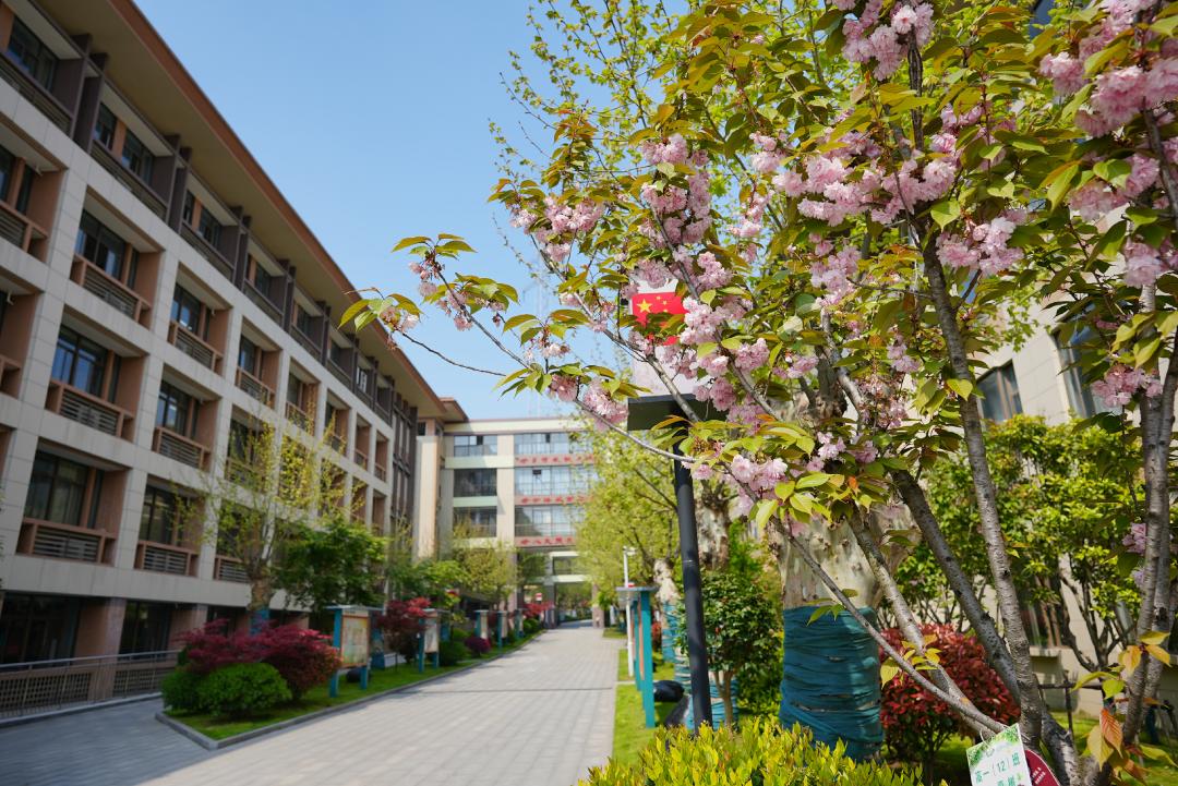 南京燕子矶中学特色,南京燕子矶中学在南京市排名