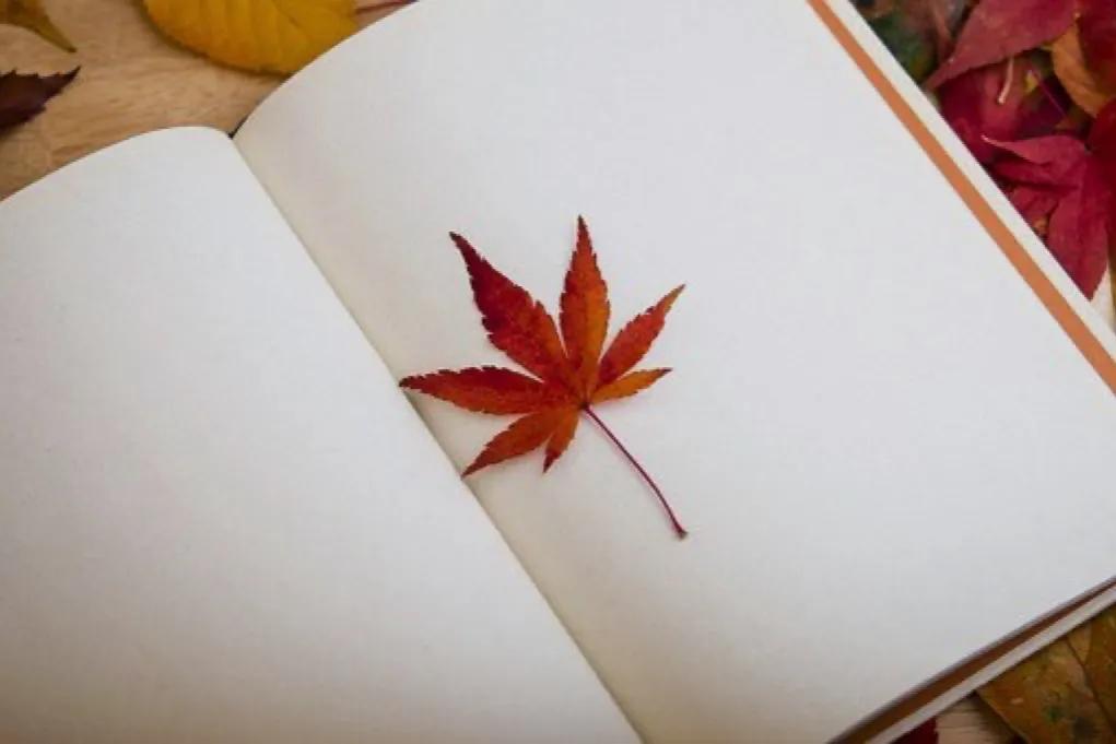 三观超正的恋爱观,三观超正的恋爱观书籍