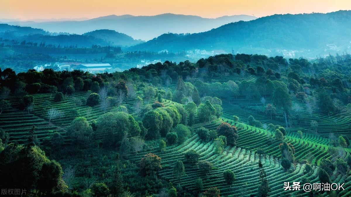 人这一生当中要经历亲情爱情友情,友情珍贵还是爱情珍贵