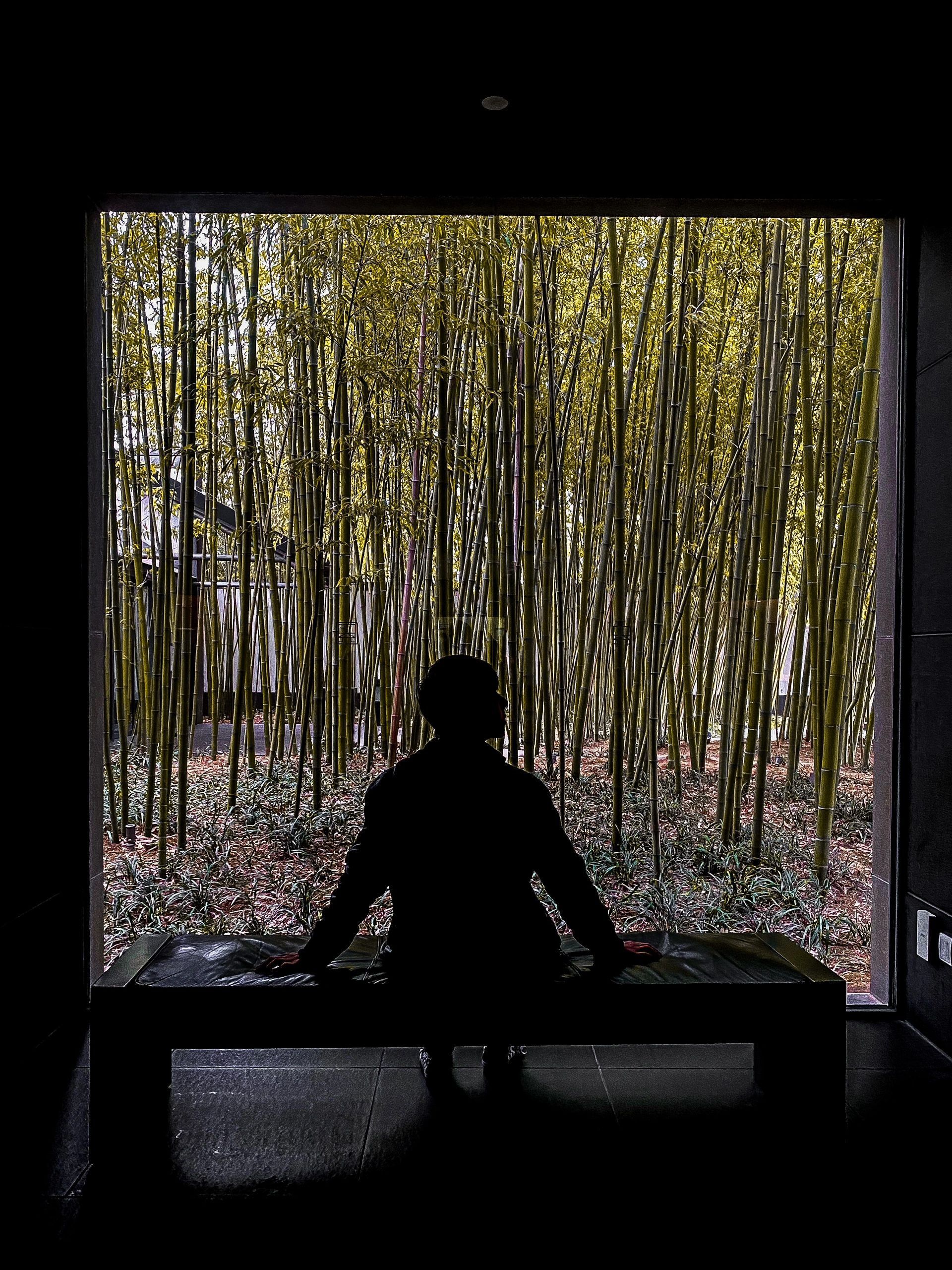 苏州梦华录,苏州山塘街梦华录