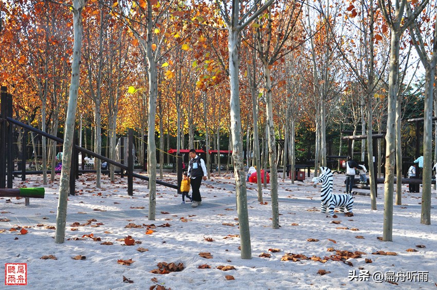 7月郑州凉快遛娃公园排行榜,郑州龙子湖避暑遛娃的地方