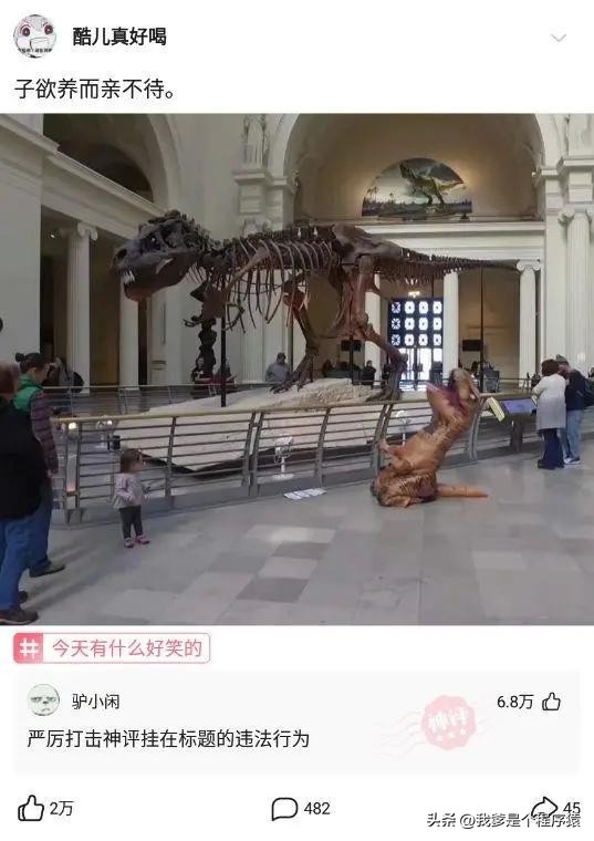 【优选段子】驾照考一半不能考了钱能退吗