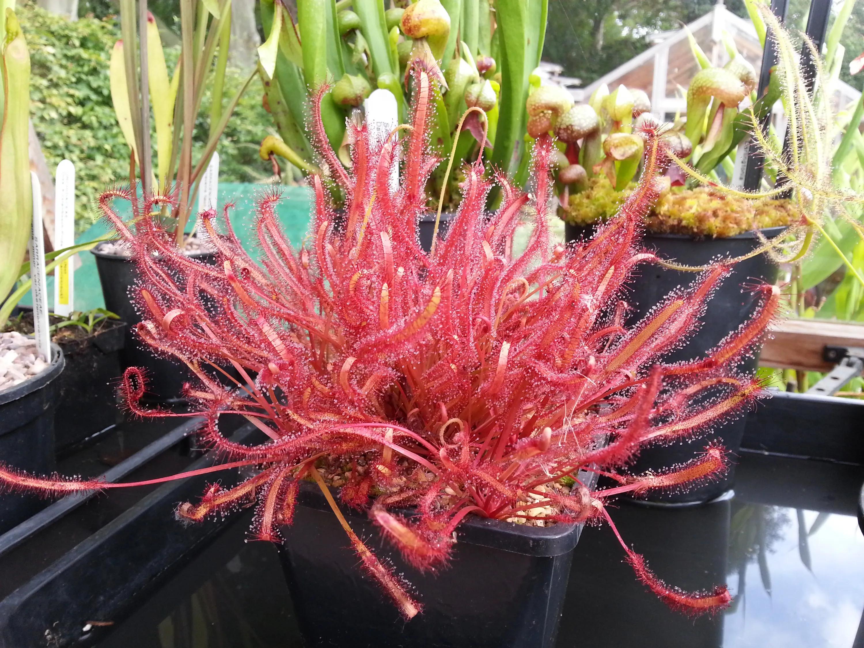 英国伯明翰留学,英国之旅伯明翰