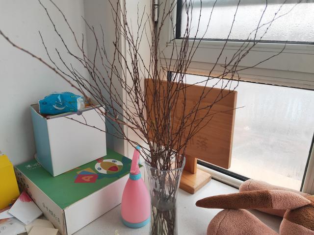 干枝遇水是什么原因,干枝遇水开花什么原理