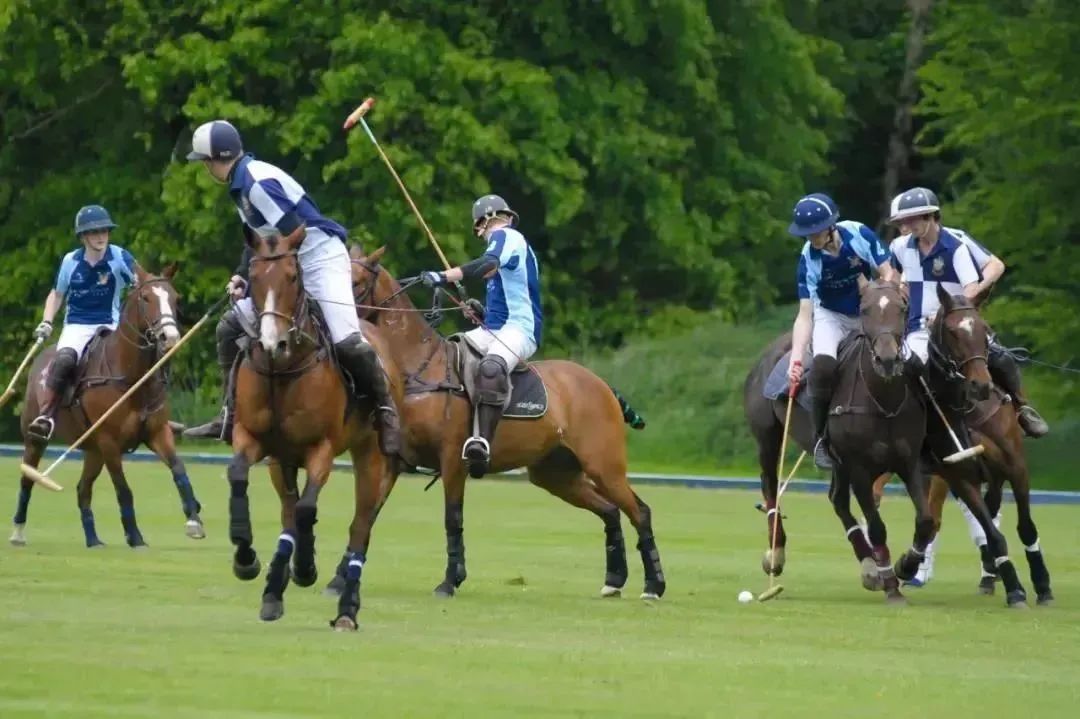 世界杯首场英格兰对伊朗谁会赢,世界杯揭幕战战况