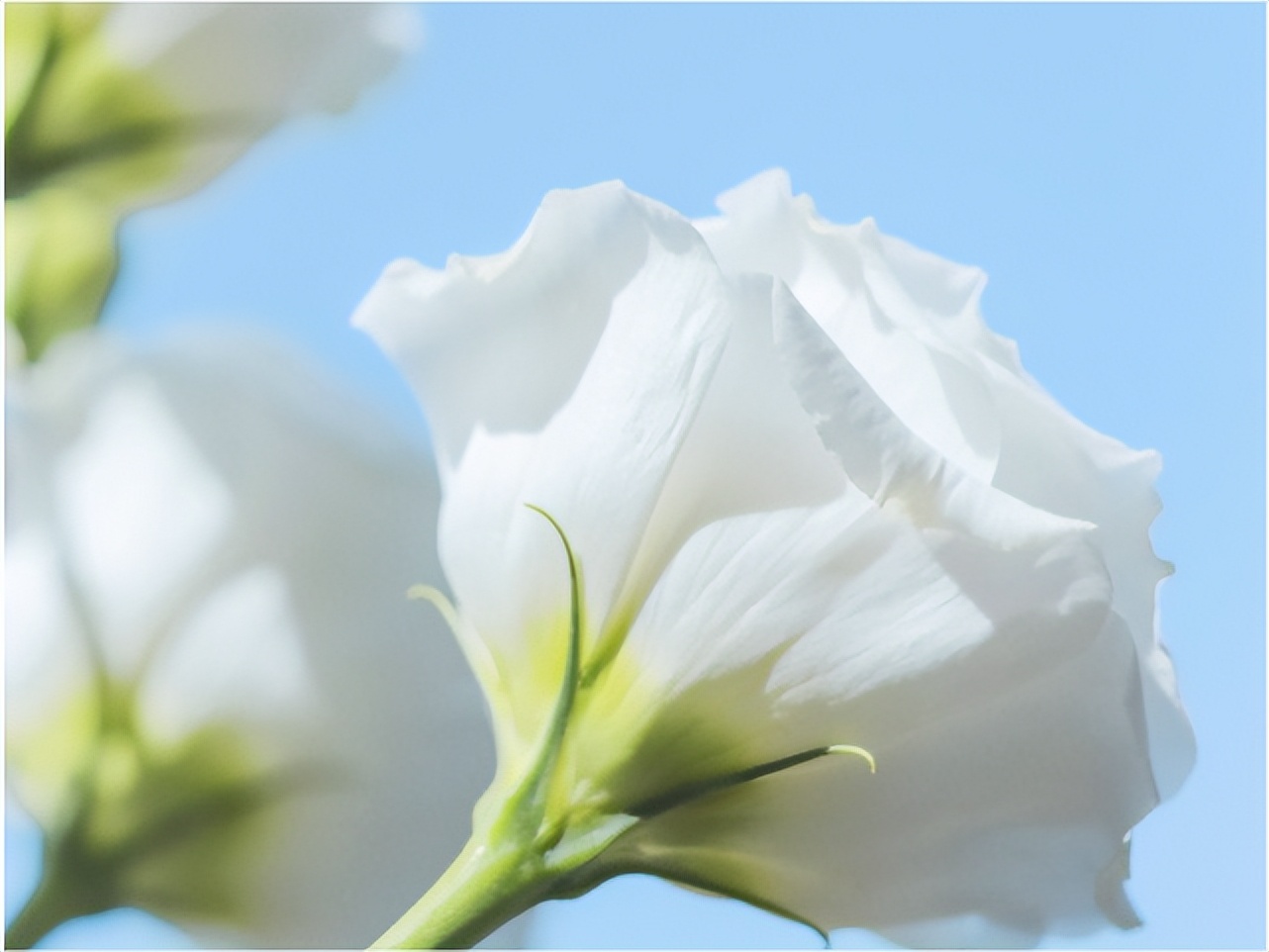 一言不合就分手的5个星座,一言不合就分手的五大星座