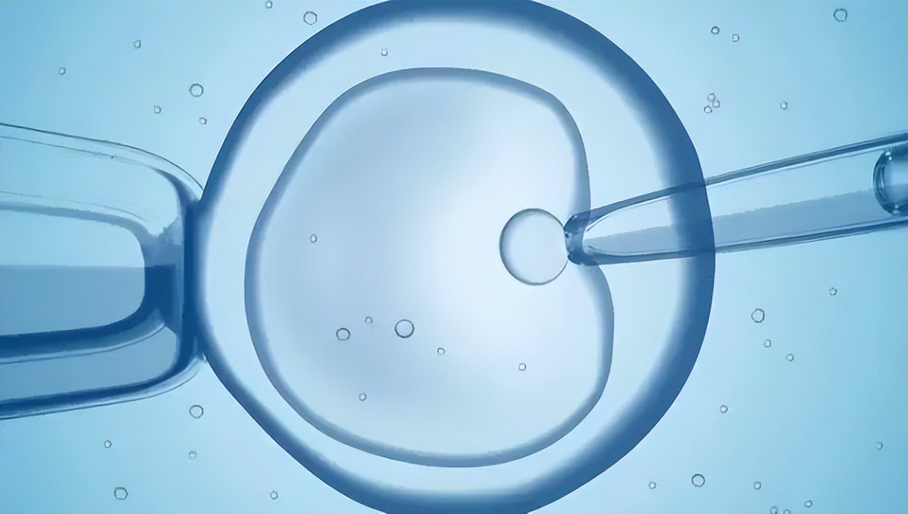 单身女性冻卵的法律规制与治理对策