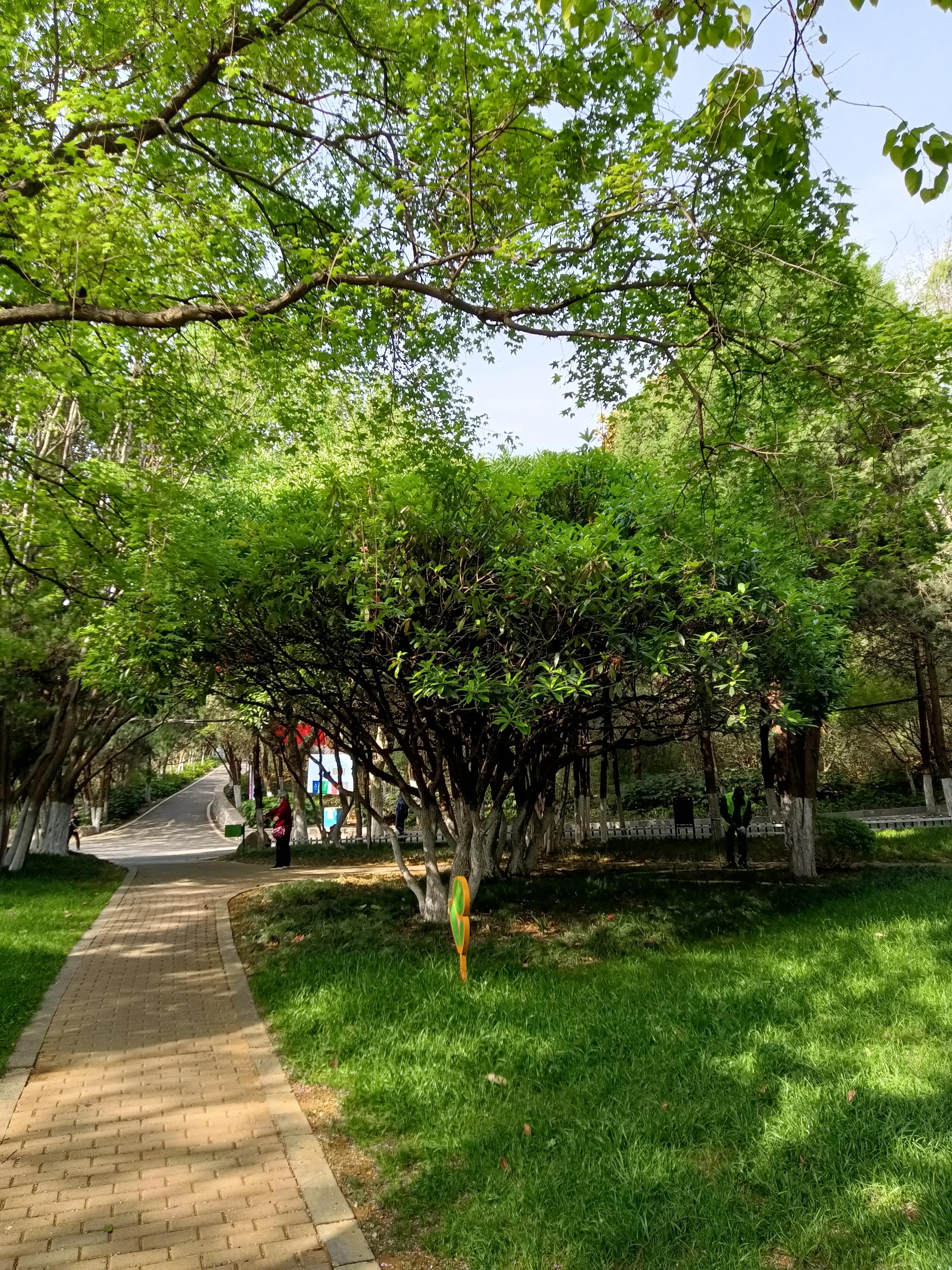 落英缤纷文章,有感于的意思