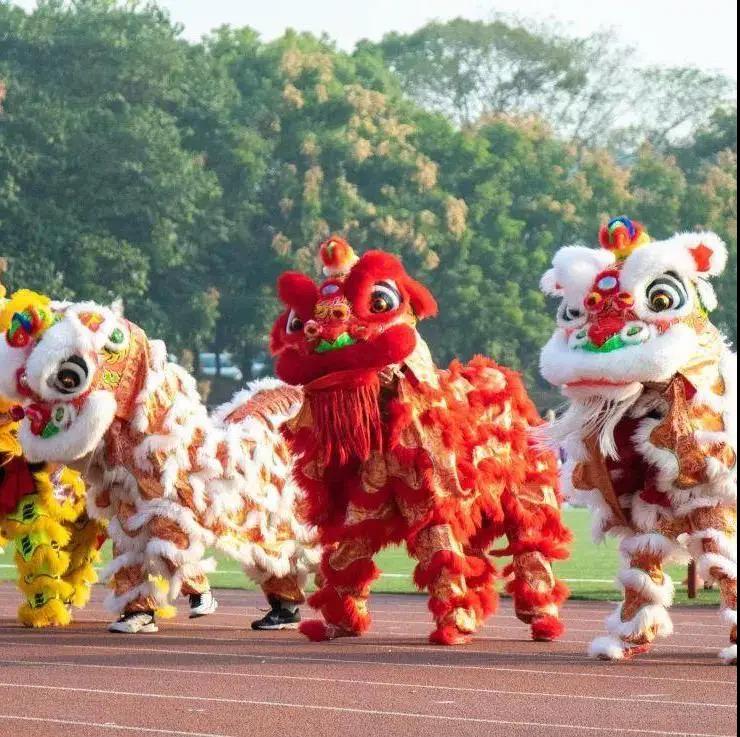 苏州东太湖游玩攻略,春节东太湖旅游攻略