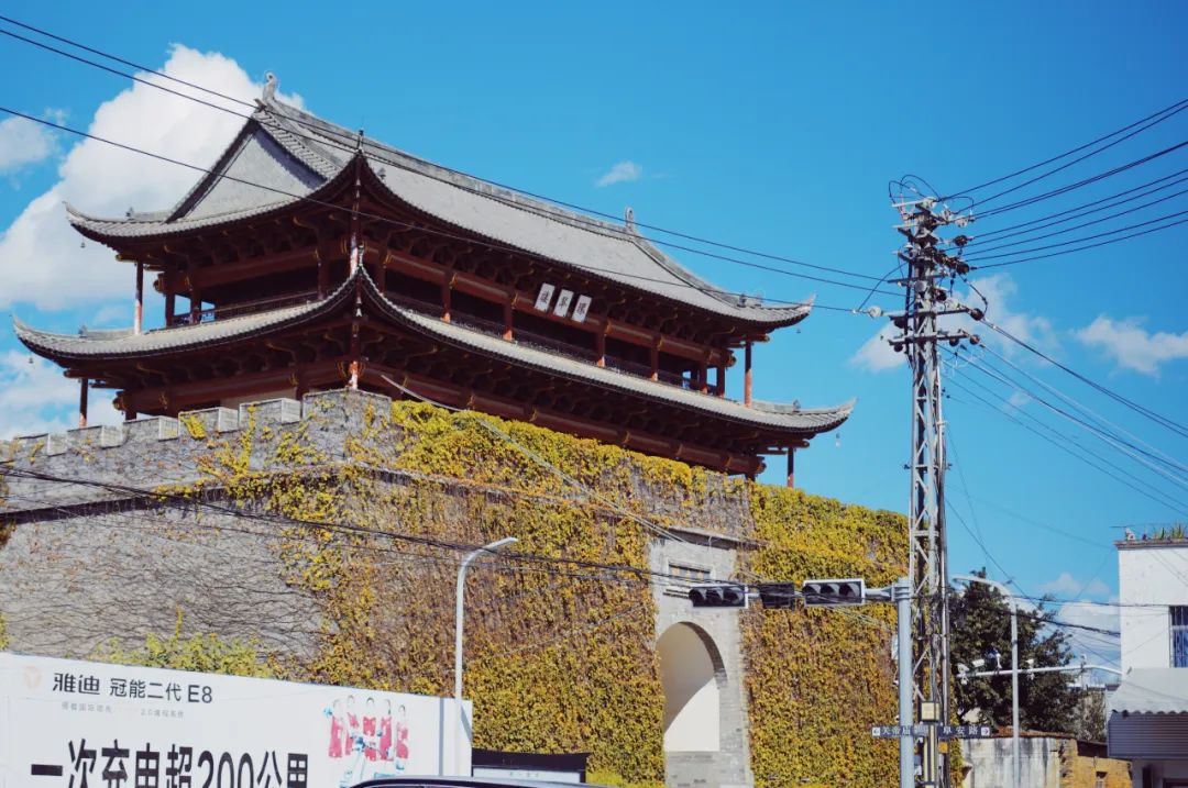 公司的旅游团建必须去吗,旅游团建机构有哪些好的