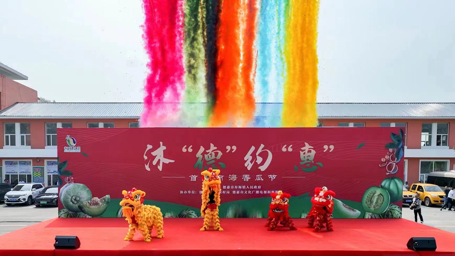 布海香瓜,布海香瓜采摘