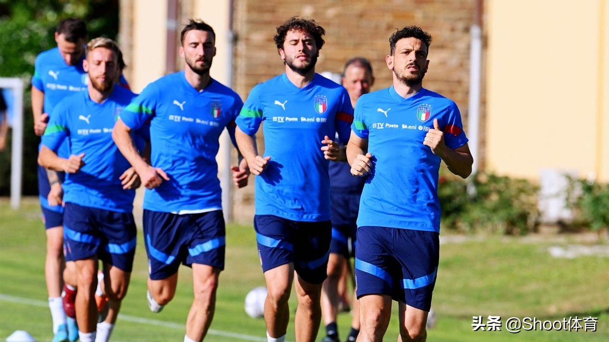 意大利战胜瑞士,意大利vs德国克星