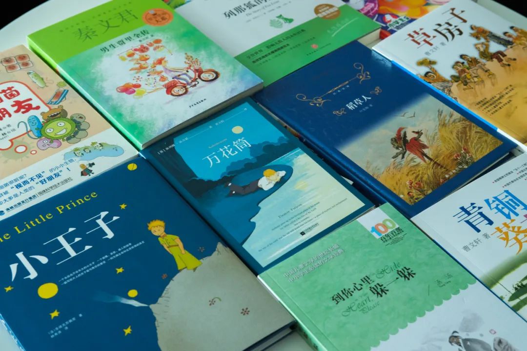 成都的北门最好的区,成都的北门现状