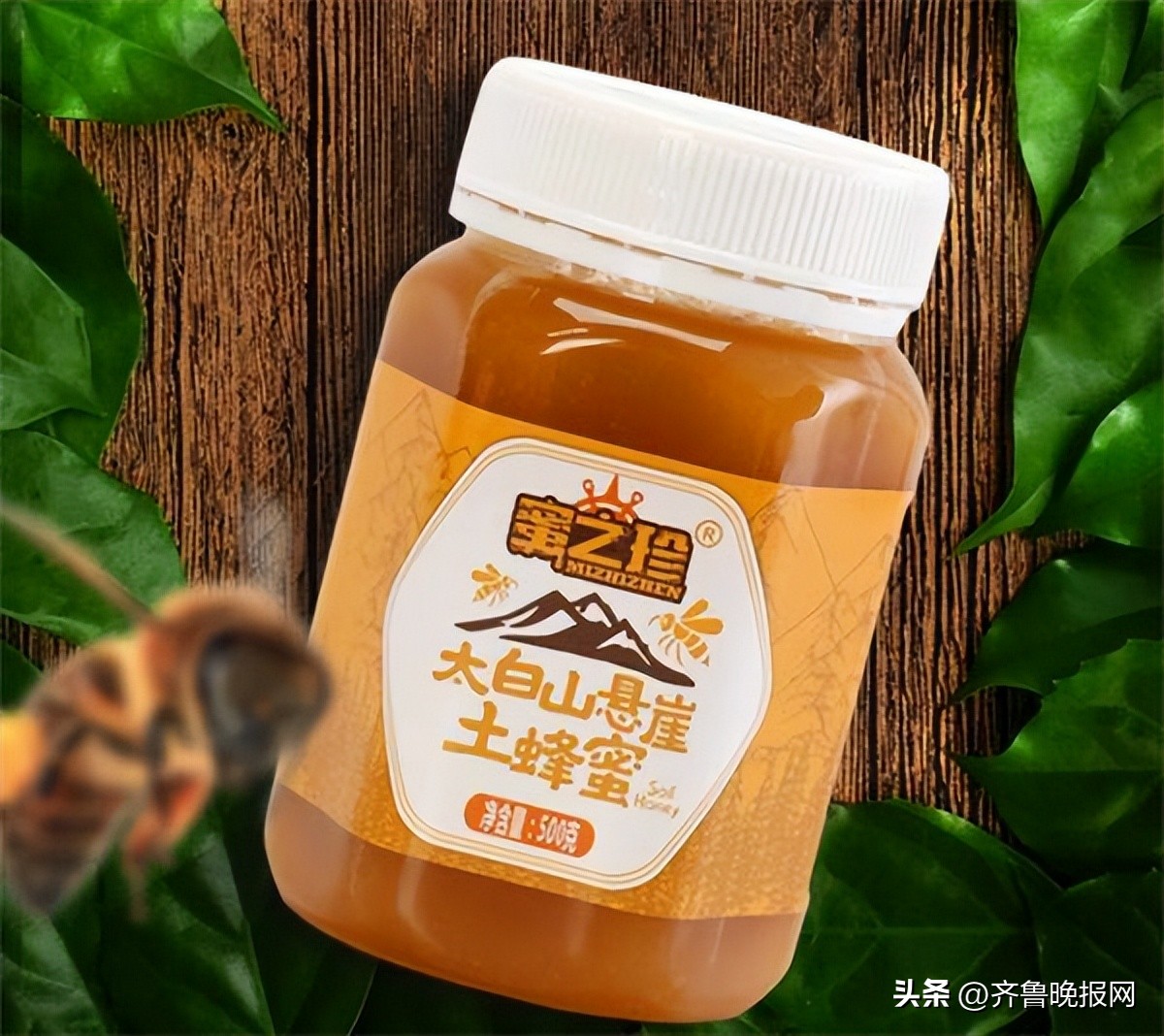 怎样才能买到正宗的土蜂蜜,怎么才能买到真正的土蜂蜜